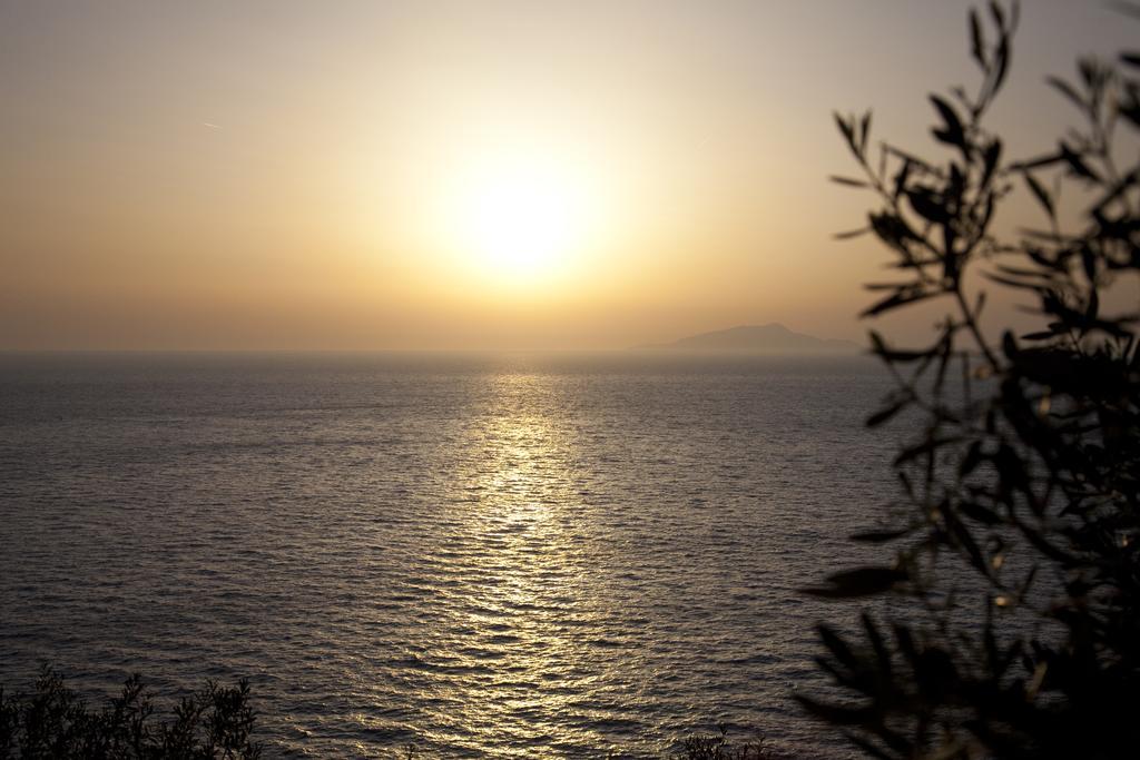 Villa Angelina Massa Lubrense Εξωτερικό φωτογραφία