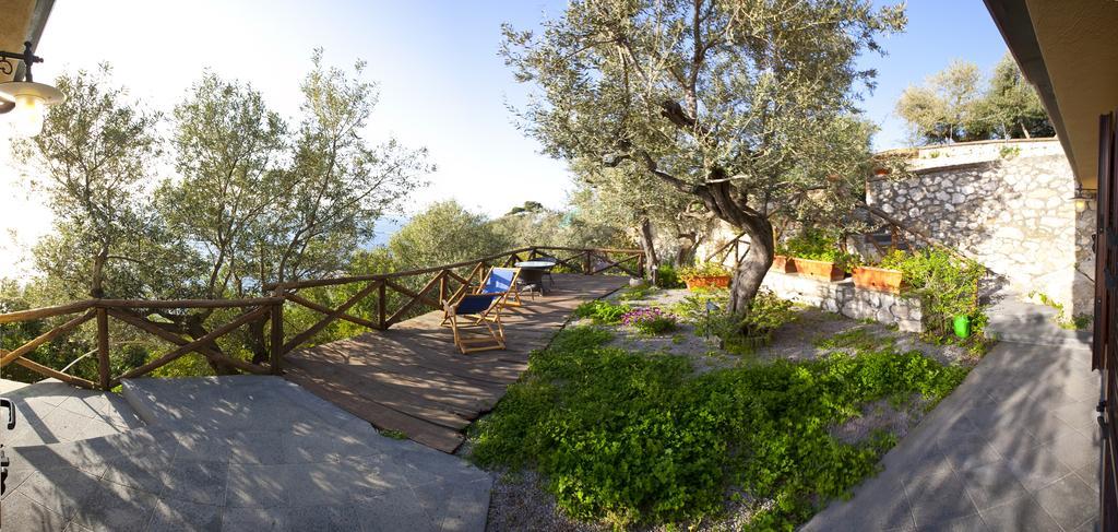 Villa Angelina Massa Lubrense Εξωτερικό φωτογραφία